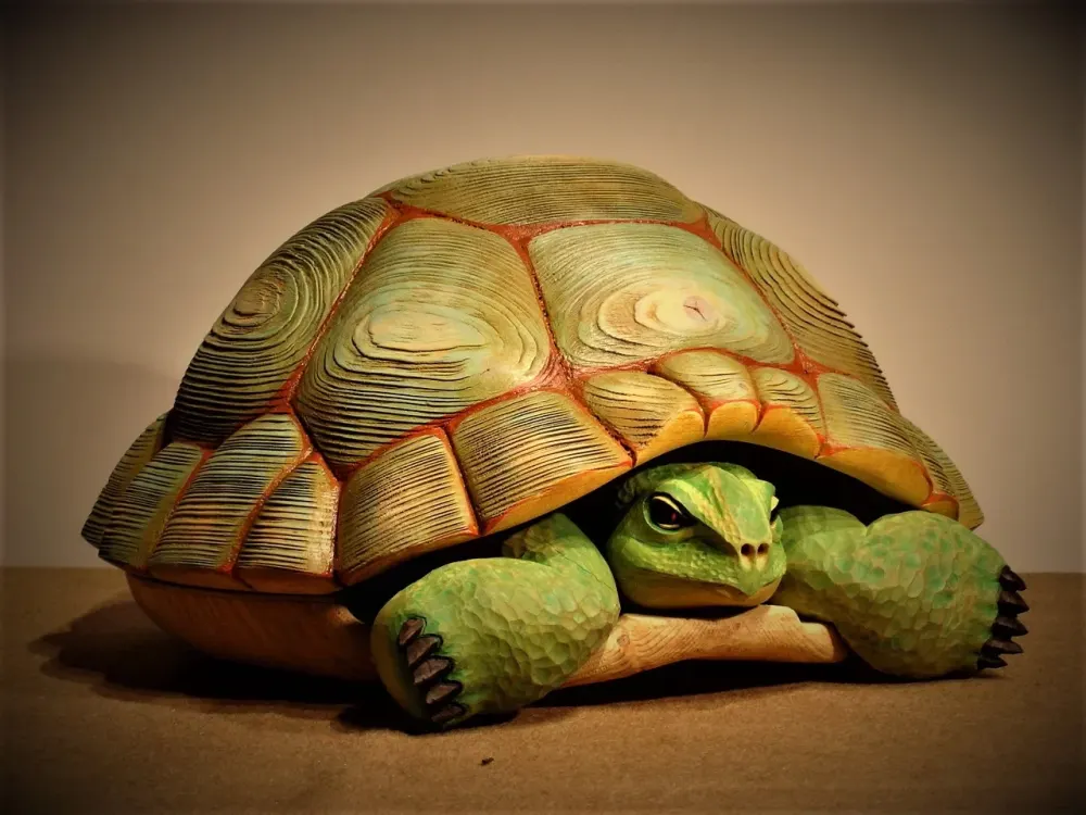 Turttle bowl